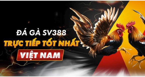 Đăng ký đá gà sv388: Hướng dẫn chi tiết và an toàn cho người mới