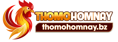thomohomnaybz